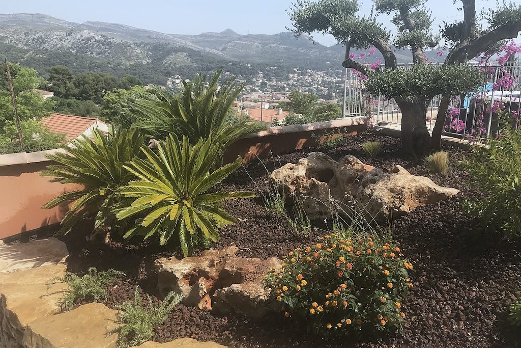 Massif méditerranéen fleuri en bord d'allée