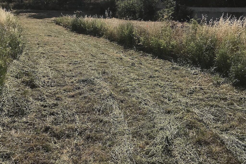 Terrain débroussaillé autour d'une maison dans les collines de Marseille