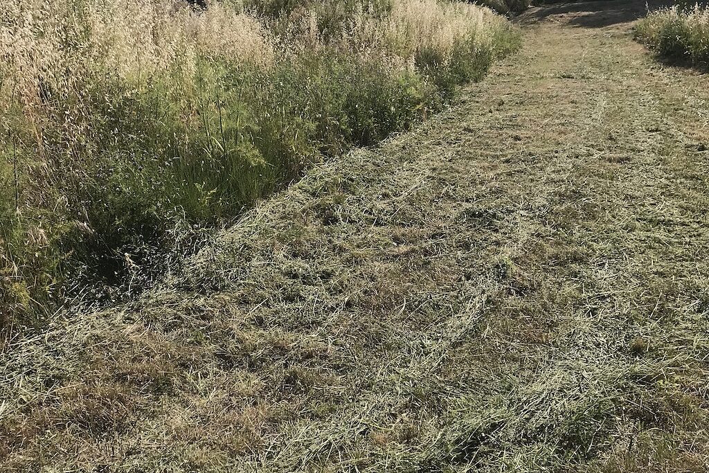Terrain en pente après fauchage